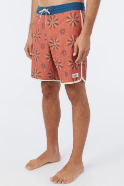 CRUZER SCALLOP 18
